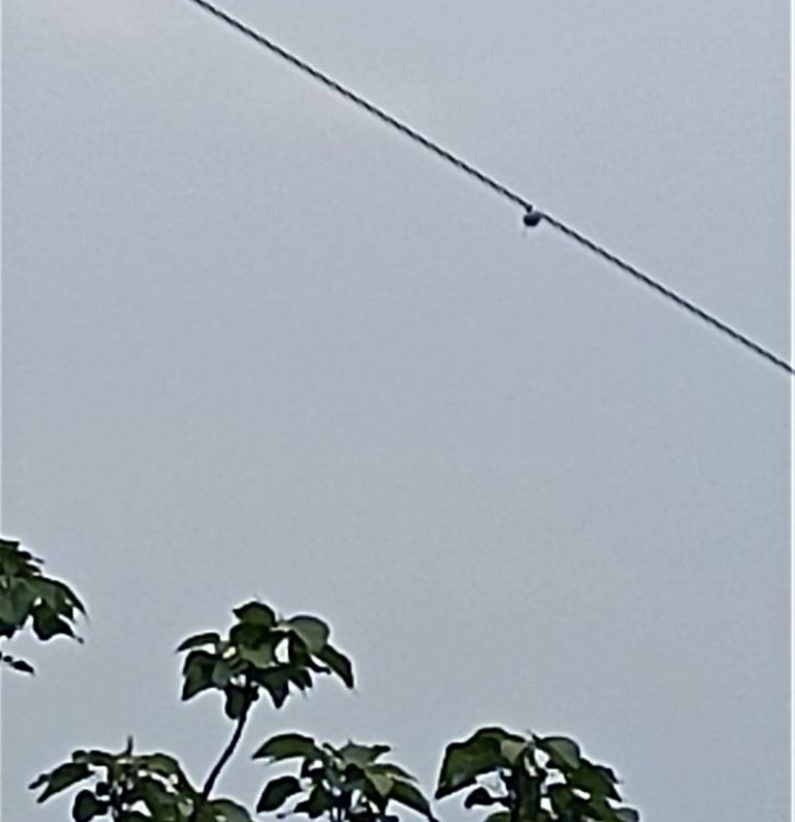 導線弧垂智能在線監測系統 導線弧垂智能在線監測系統